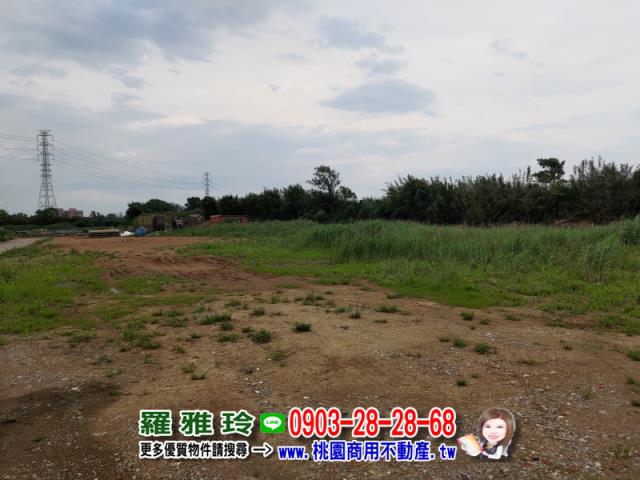 桃園新屋農地-5