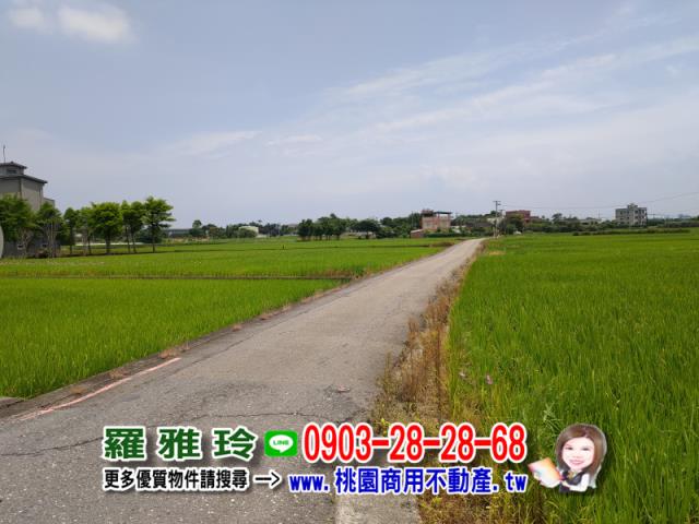 桃園中壢農地-6