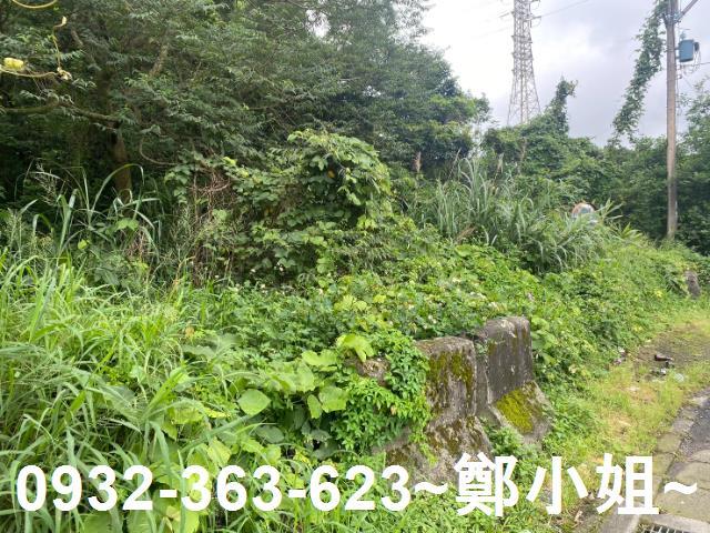 桃園平鎮農地-11