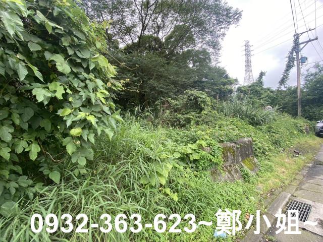 桃園平鎮農地-3