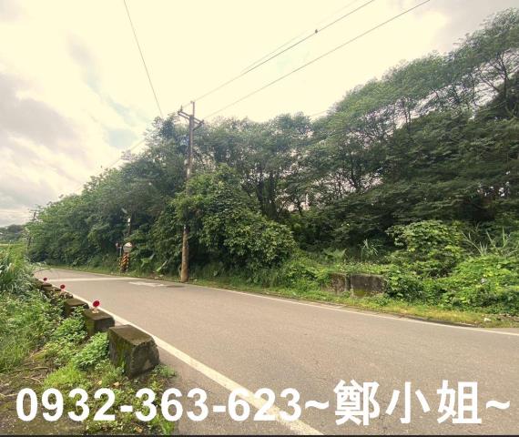 桃園平鎮農地-9
