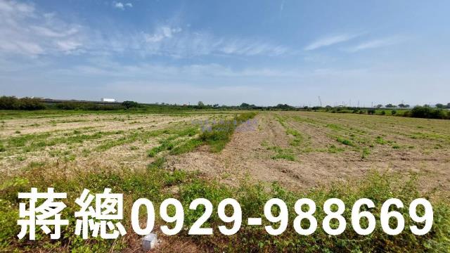 台南新市農地-5