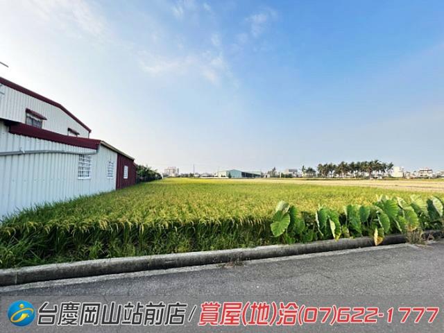 高雄橋頭農地-15