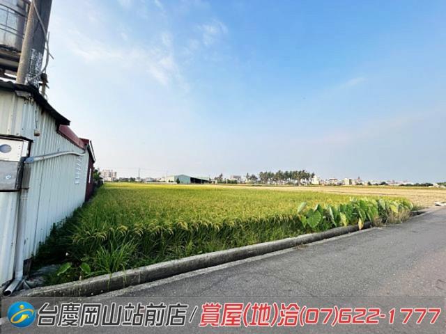 高雄橋頭農地-8