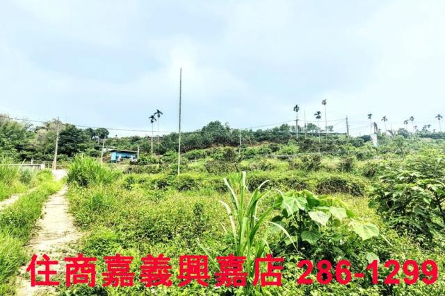 竹崎農地-10