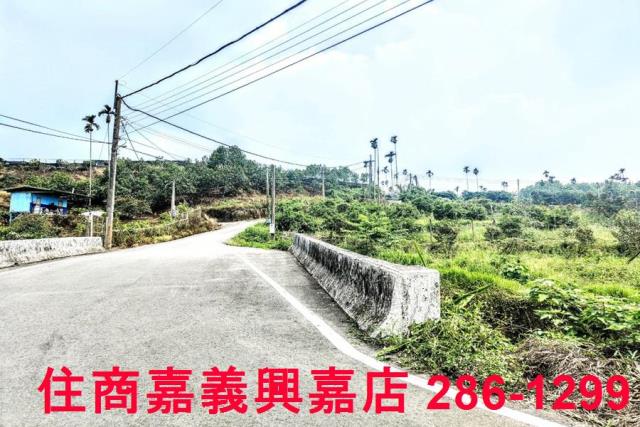 竹崎農地-1