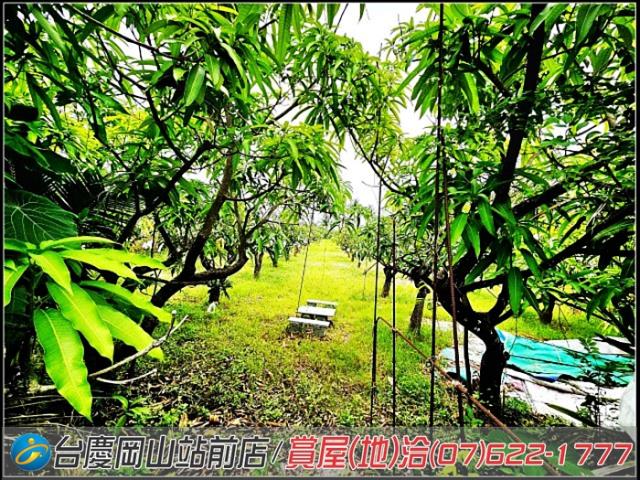 岡山農地-6