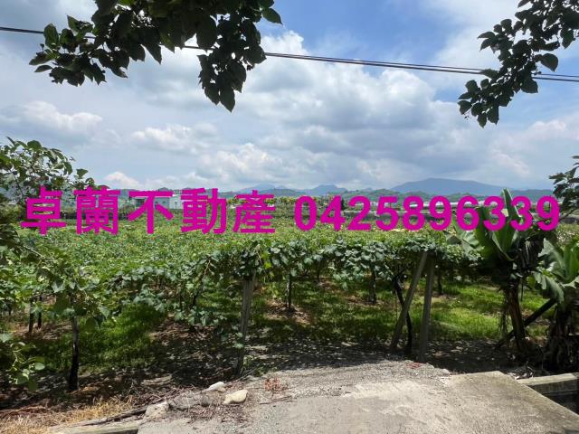 苗栗卓蘭農地-5
