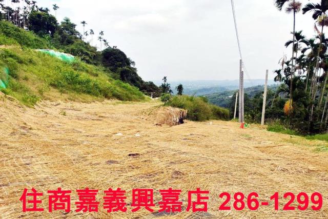 中埔農地-6