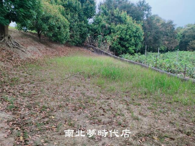 楠西農地-6