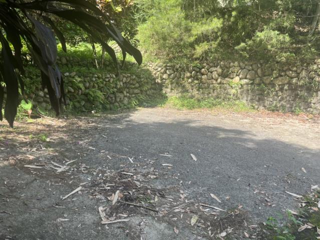 台中東勢山坡地-2