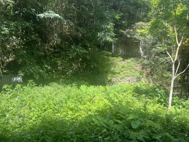 台中東勢山坡地-3