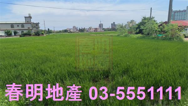 新豐農地-4