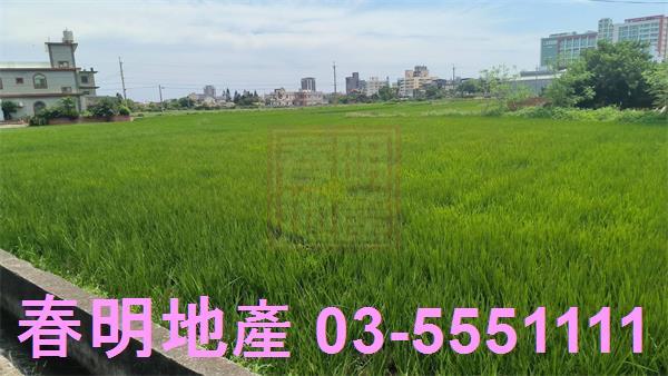 新豐農地-5