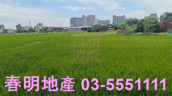 新豐農地-6