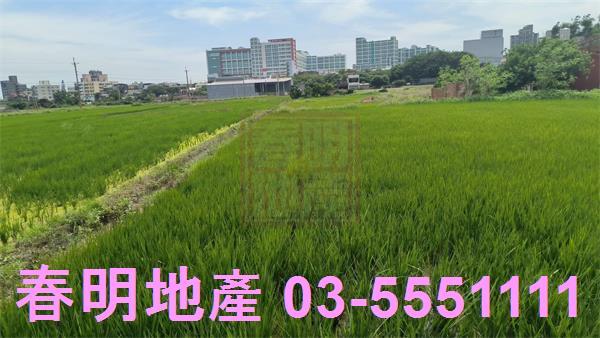 新豐農地-7