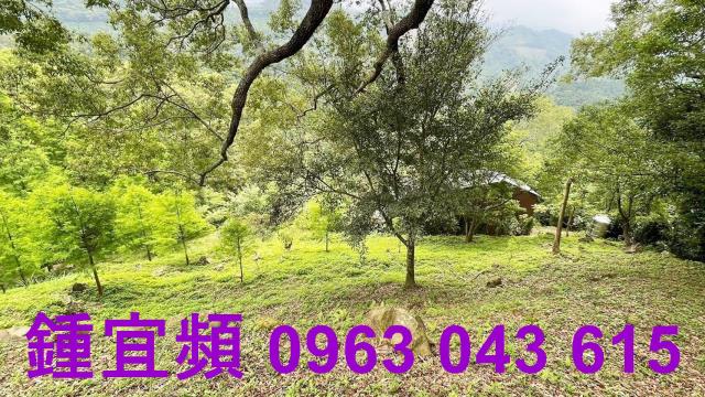 峨眉農地-10