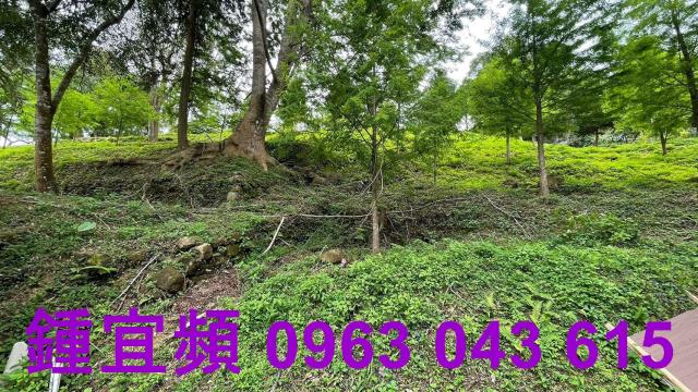 峨眉農地-12