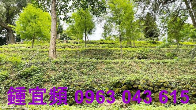 峨眉農地-13