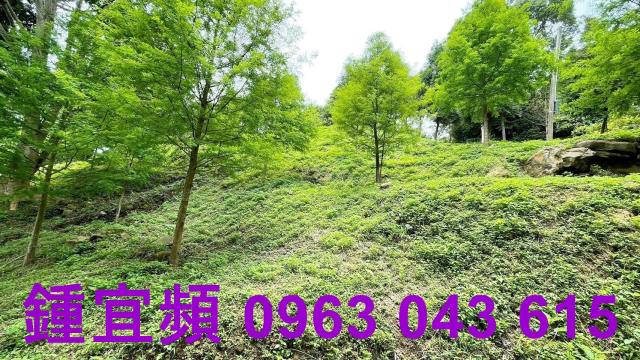 峨眉農地-14
