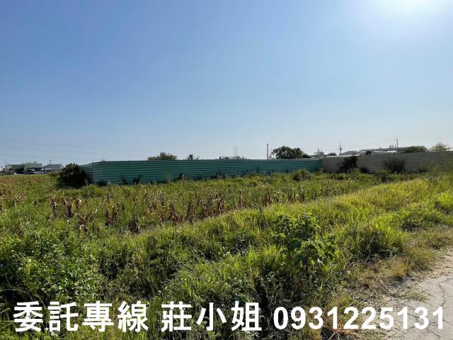 歸仁農地-3