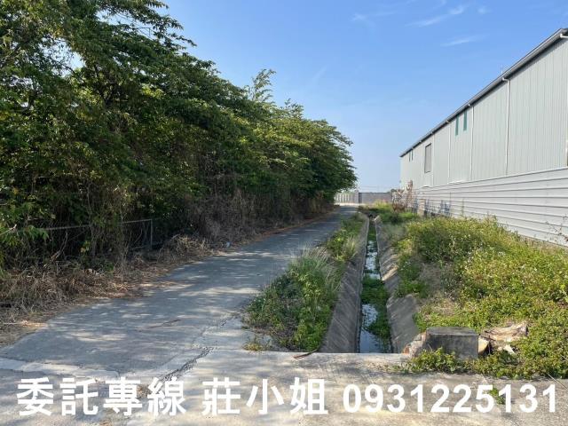 歸仁農地-5