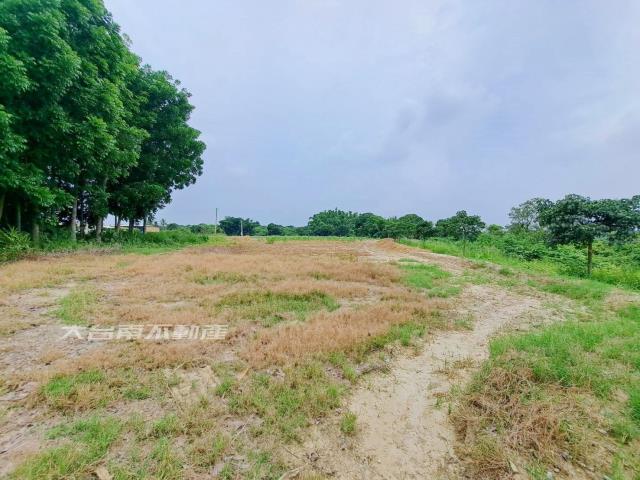 官田農地-1