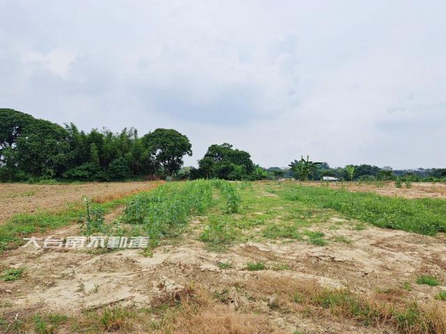 官田農地-2