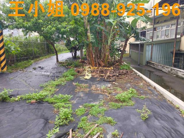 桃園桃園區農地-1