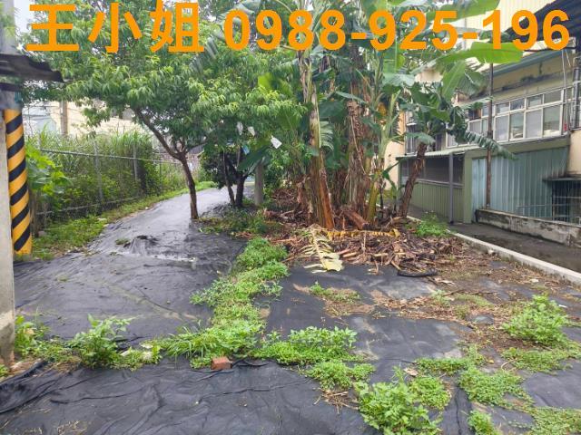 桃園桃園區農地-2