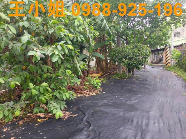 桃園桃園區農地-3