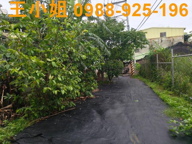 桃園桃園區農地-5