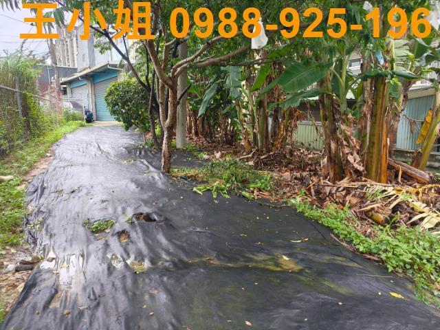 桃園桃園區農地-6