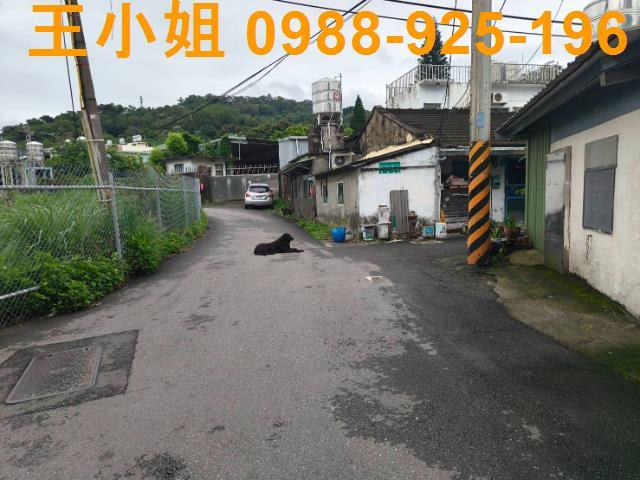 桃園桃園區農地-8