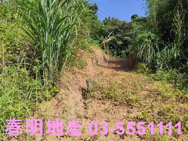 新竹竹東農地-5