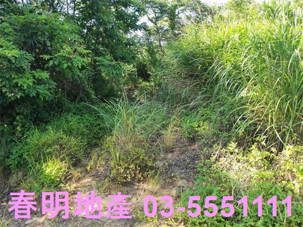 新竹竹東農地-6
