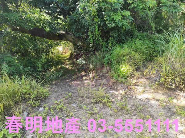 新竹竹東農地-7