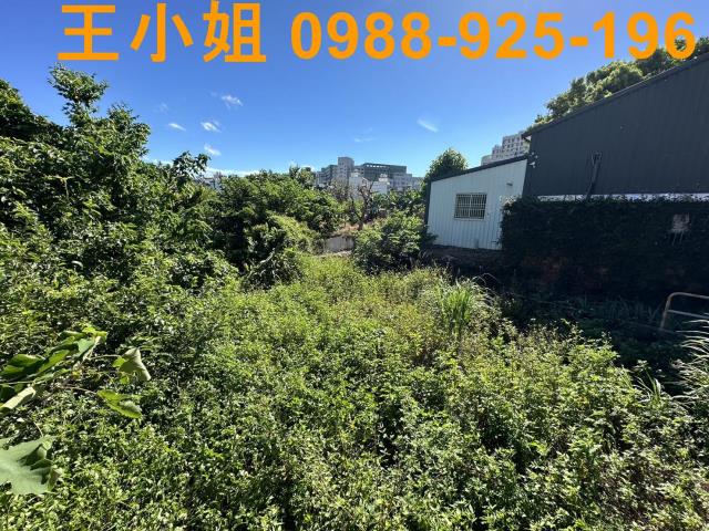 桃園桃園區農地-1