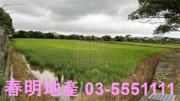 新豐農地-1