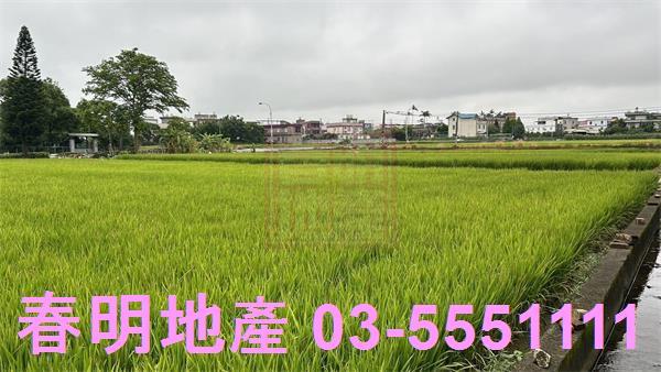 新豐農地-2