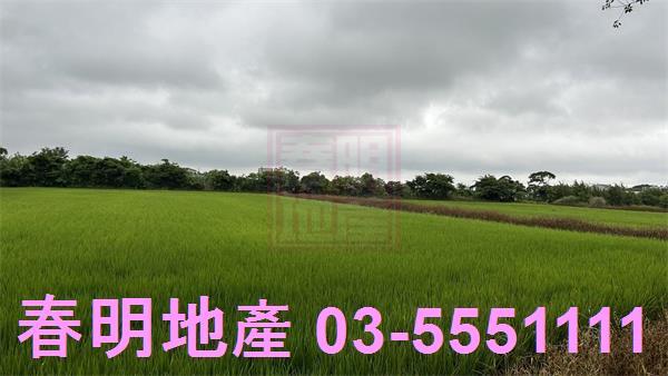 新豐農地-3