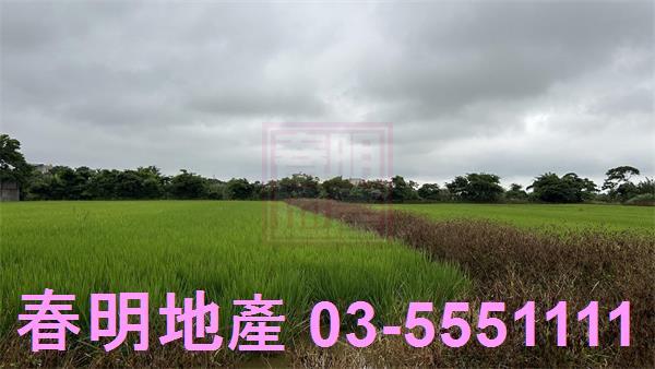 新豐農地-4