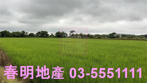 新豐農地-5