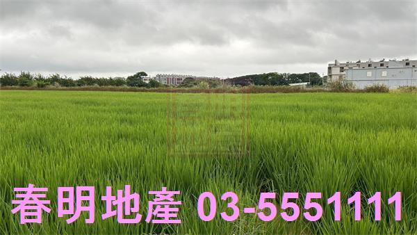 新豐農地-6