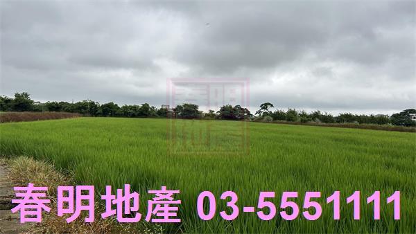 新豐農地-7