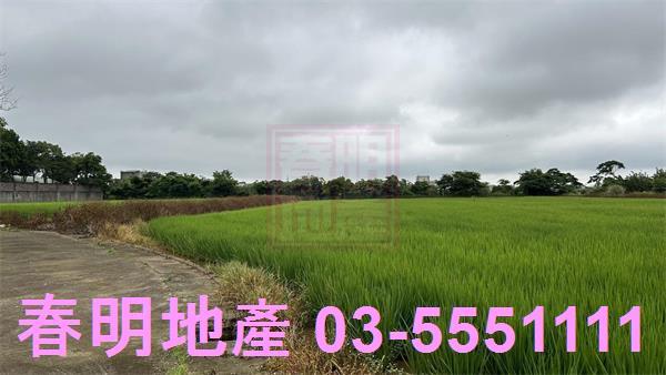 新豐農地-8