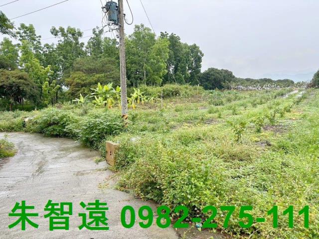 台南南化農地-8