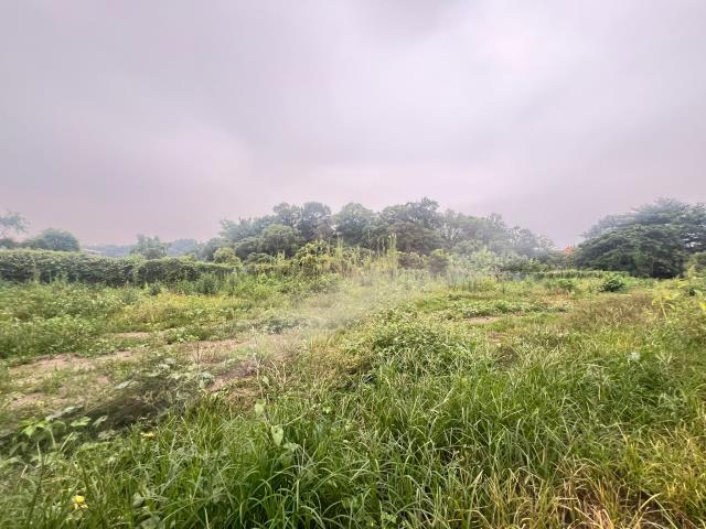 嘉義水上農地-1