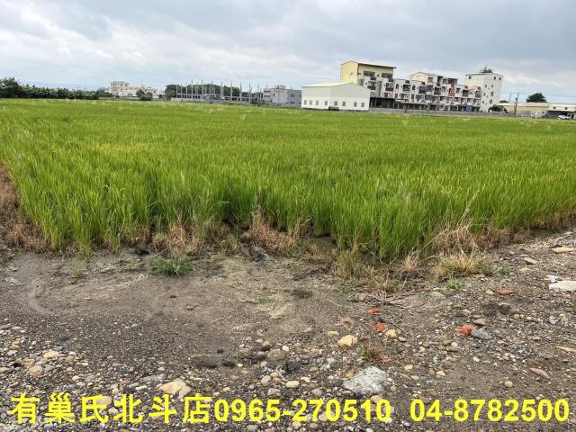 埔鹽農地-2