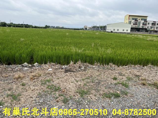 埔鹽農地-6